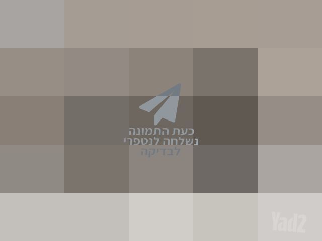 אופנים חשמליות
