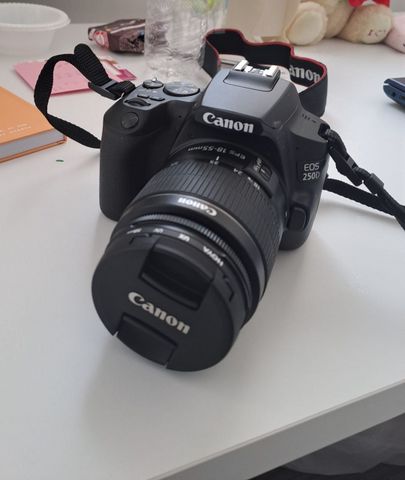 מצלמת Canon E0S 250D