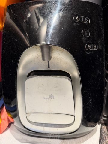 תמי 4 פרימו
