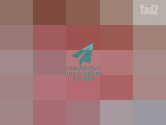 שטיח