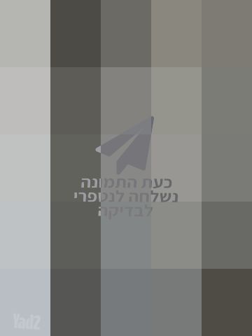 דלתות פנים