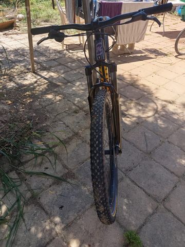 אופני kona 2024