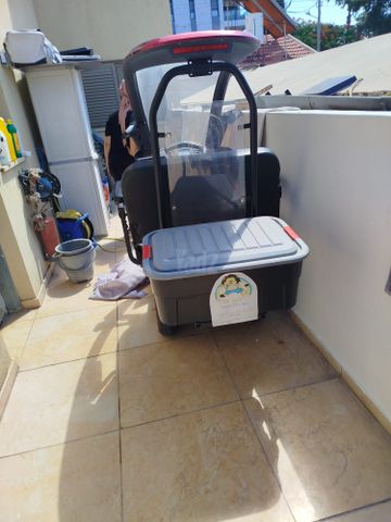 קולנועית