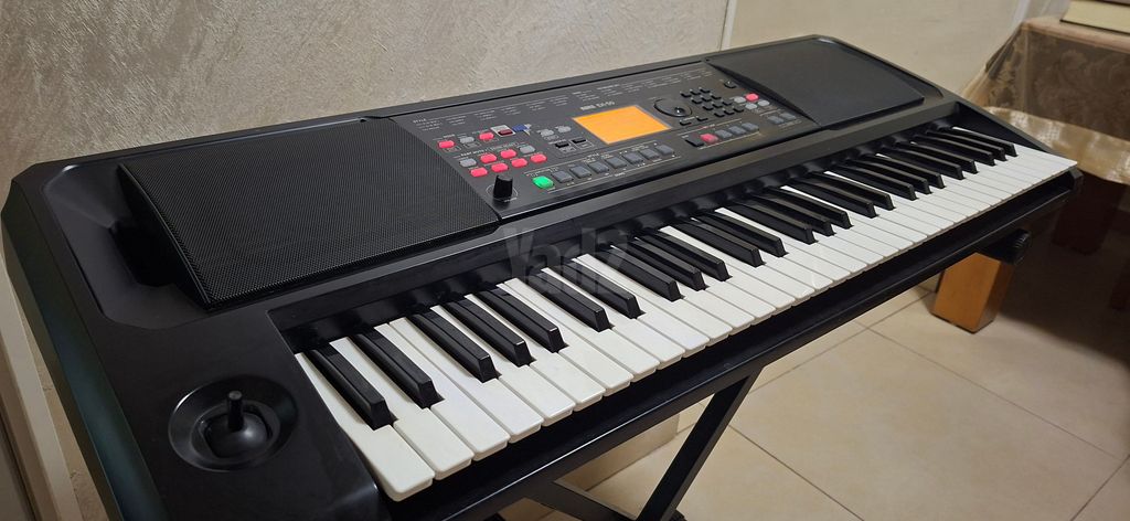 אורגן EK-50 KORG