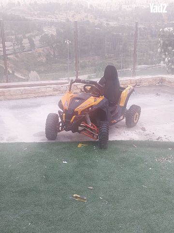 באגי סלעים