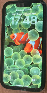 iPhone 13 Pro
