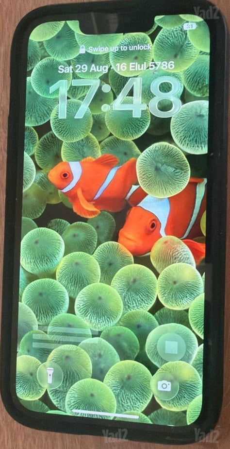 iPhone 13 Pro