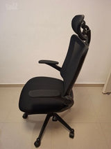 כיסא ד''ר גב
