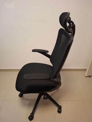 כיסא ד''ר גב