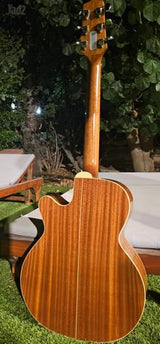 Takamine d51c