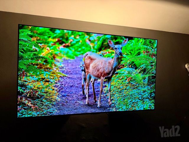 LG OLED 55
