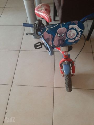 אופנים מידה 12