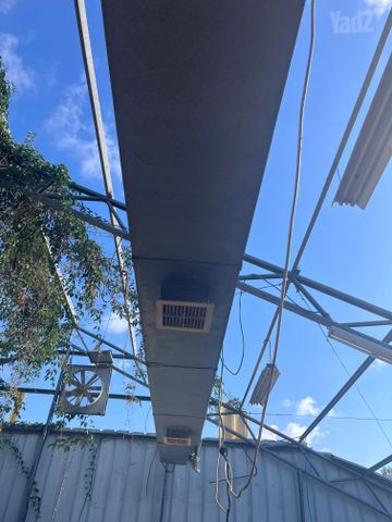 איסכורית