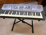 אורגנית Medeli m10