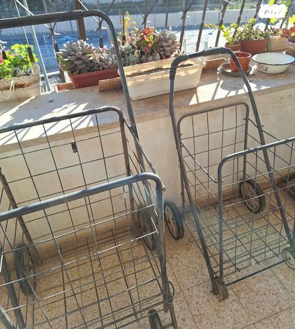 עגלת שוק