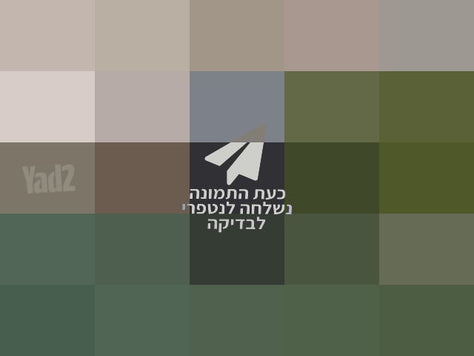 דונה X ואיזופיקס תואם