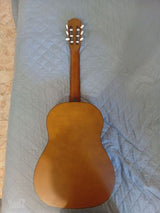 גיטרה CASCHA HH2136