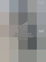אקדח נשק