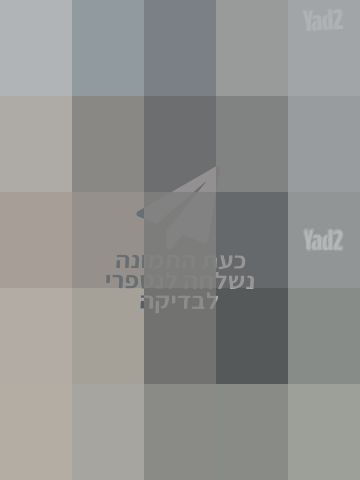 אקדח נשק