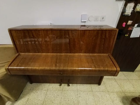 פסנטר