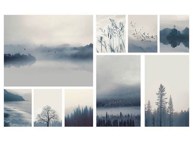 סט 9 תמונות mist in the forest