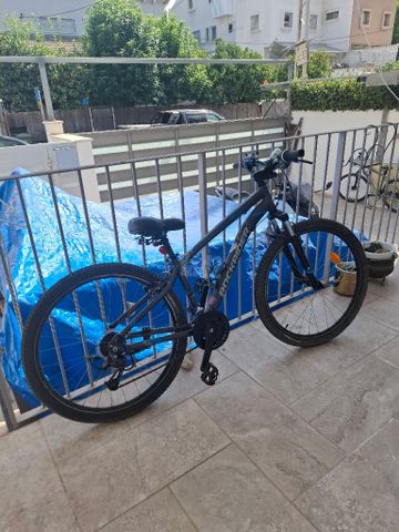 אופניים rider rock st 100