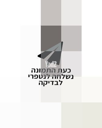 חליפת גלישה