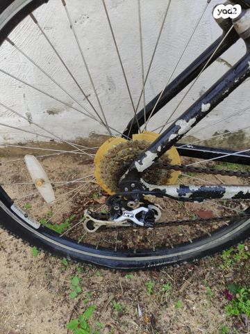 Cannondale