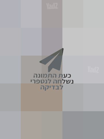 גיטרה כורט