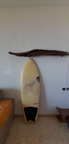 גלשן גו פיש machado
