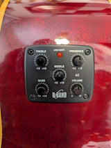 Tanglewood Evolution TSFCER