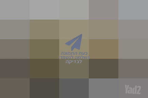 ספה דו מושבית
