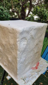 סלעים