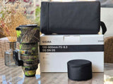 Sigma 150-600mm f/5-6.3
