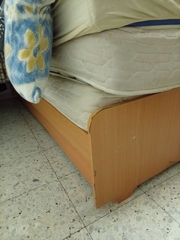 מיטת נוער