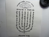 תשמישי קדושה