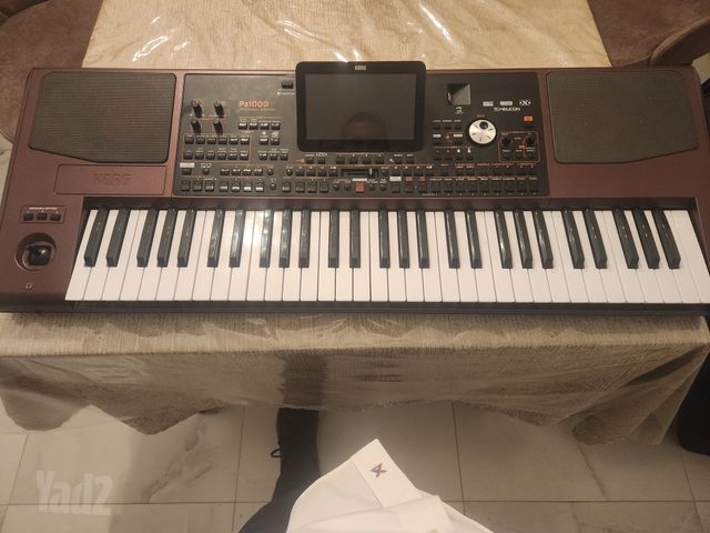 אורגן קורג pa1000