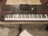אורגן קורג pa1000