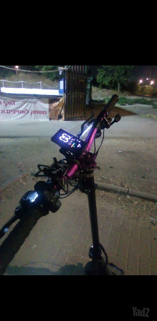 נאמי סטלר