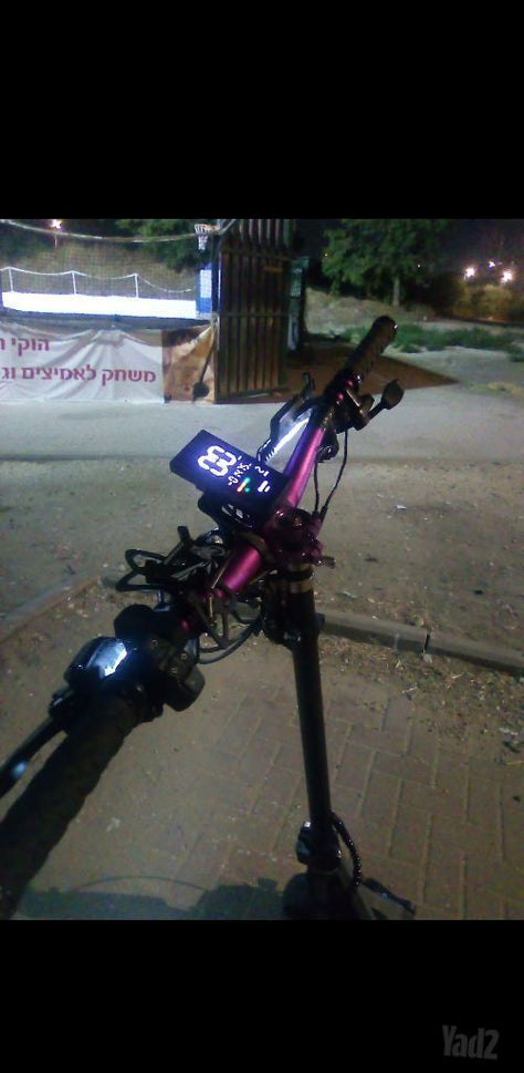 נאמי סטלר