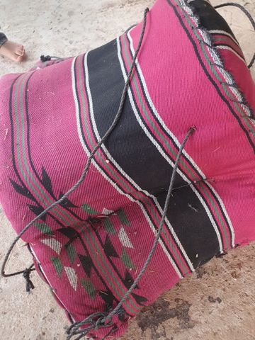 אוכף לחמור