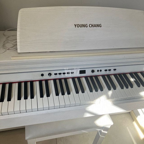 פסנתר חשמלי eletric piano