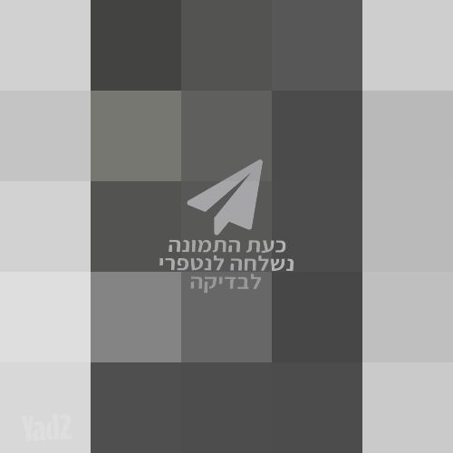 נוקיה 3210