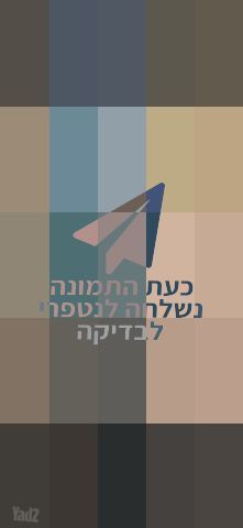 דלת פלדת