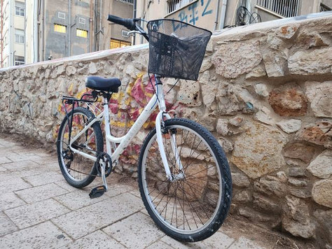 אופני עיר ראלי