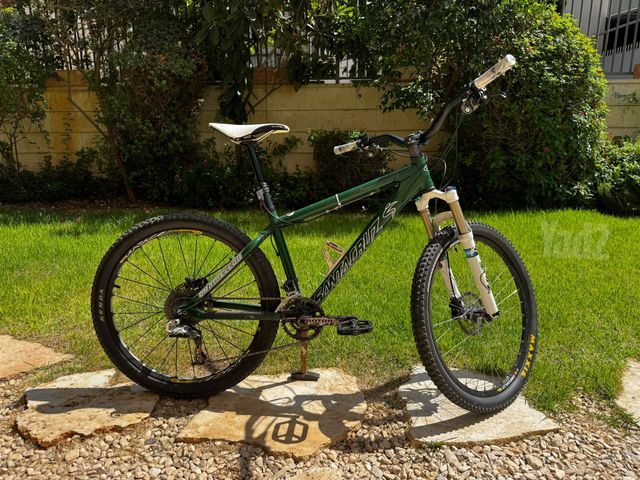 Sata Cruz Chameleon