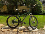 Sata Cruz Chameleon