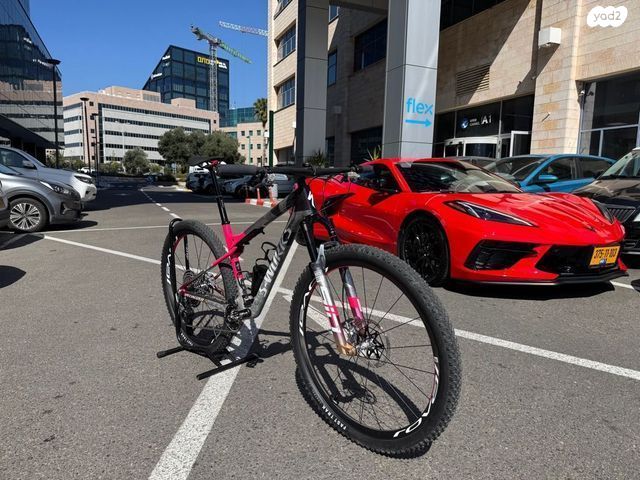 S works world cup