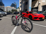 S works world cup