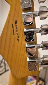 גיטרה fender +מגבר fender